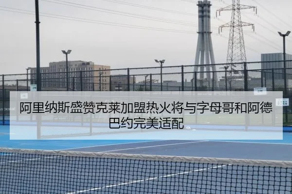 阿里纳斯盛赞克莱加盟热火将与字母哥和阿德巴约完美适配